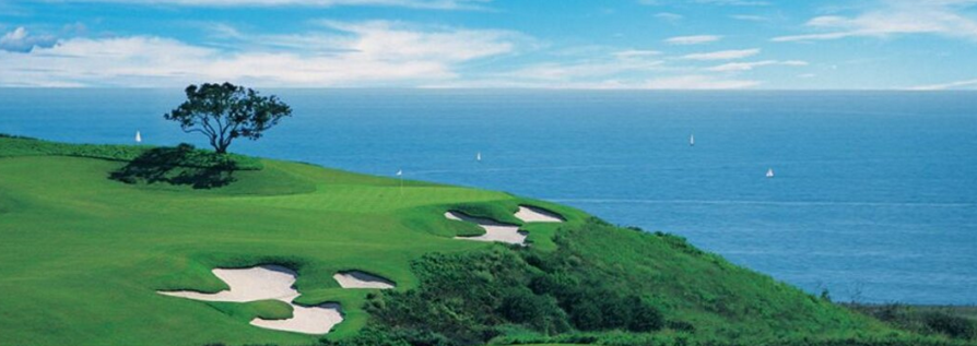 Golf Club Components